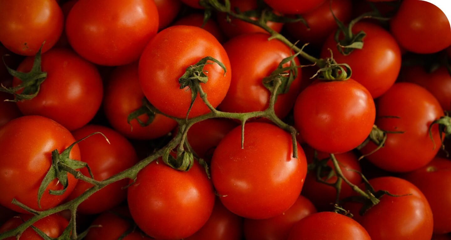 frisches, 100% italienisches tomatenfruchtfleisch decorazione di sfondo